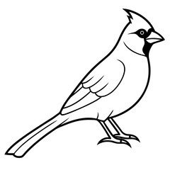 Minimalist Cardinal Bird One-Line Vector Art