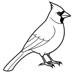 Minimalist Cardinal Bird One-Line Vector Art