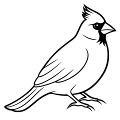 Minimalist Cardinal Bird One-Line Vector Art
