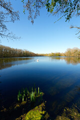 Pond in the Pâtis park, the largest urban natural park in Île-de-France Region	