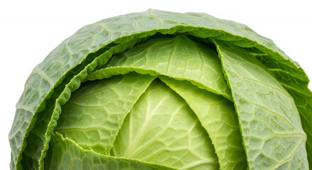 Fototapeta premium Detailed Fresh Green Cabbage Brassica Oleracea Leaves with Intricate Layers and Textures Isolated on White Background Perfect for Culinary or Botanical Projects