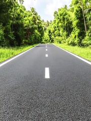 Obraz premium Road Through Lush Jungle