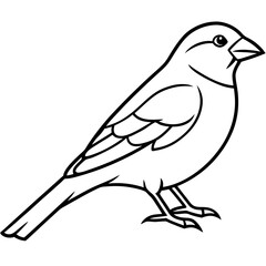 Minimalist Finch Line Art Vector