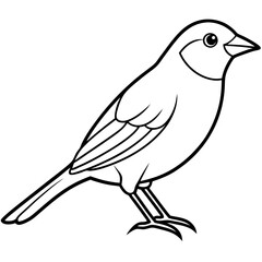 Minimalist Finch Line Art Vector