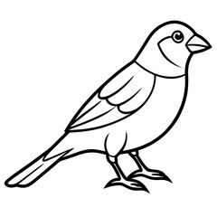 Minimalist Finch Line Art Vector