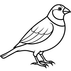 Minimalist Finch Line Art Vector