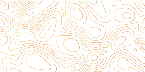 Topographic canyon geometric map relief texture with curved layers and shadow. abstract White background with a beautiful pattern, Topographic contour lines vector map seamless pattern vector.