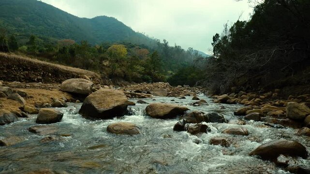 Stream in Tropical Forest &ndash; Serene and Peaceful Nature Footage.