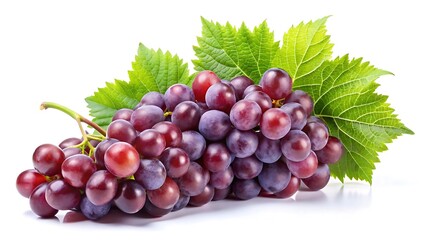 Fototapeta premium Fresh grape vine isolated on white background