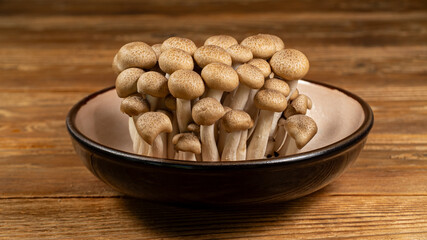 Brown Beech Shimeji Mushrooms Background in a Ceramic Bowl on a Wooden Surface