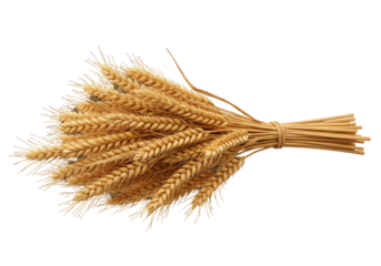 Wheat Ears Bundle