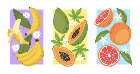 Set of vector posters with banana, papaya and grapefruit