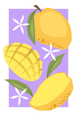 Vector fruit poster with mango
