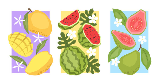 Set of vector posters with mango, watermelon and guava