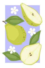 Vector fruit poster with pear