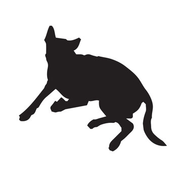 Cute Lovely Single Dog Vector Art Black White Doggy in Illustration Outline Art