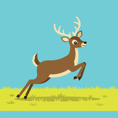 Deer jumping over grass field with blue sky natural wildlife animal vector illustration 