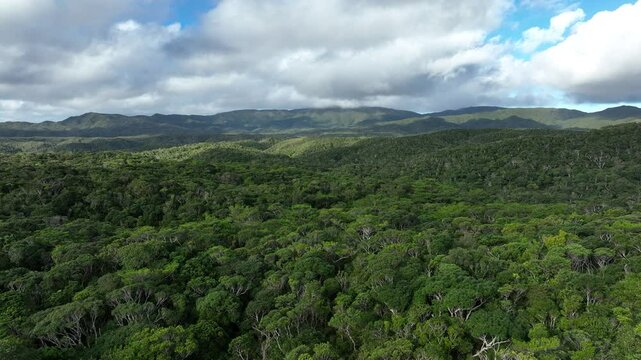 Yambaru Forest &ndash; Aerial Journey through a World Natural Heritage Site