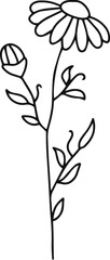 Plant with flowers outline