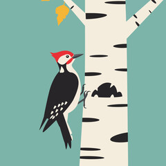 Fototapeta premium Woodpecker perched on birch tree trunk with autumn leaf and teal background digital illustration 