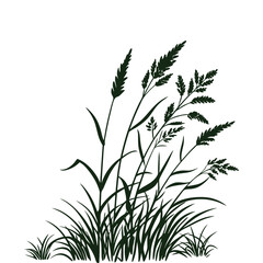 Fototapeta premium green grass isolated on white
