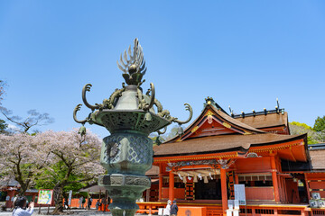 静岡県富士宮市　春の富士山本宮浅間大社