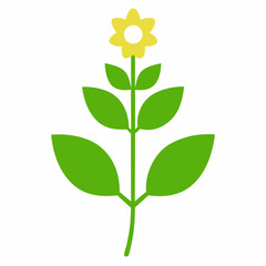 yellow flower isolated on white