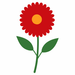 red sunflower isolated on white