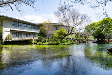 静岡県富士宮市　春の富士山本宮浅間大社