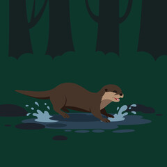 Obraz premium Otter playing in dark forest stream water splashing with trees in background natural wildlife scene 