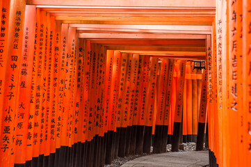 Fushimi Inari Shrine with rows of Torii (Gate) in Kyoto, Japan 