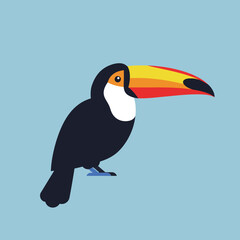 Obraz premium Toucan bird with large colourful beak vector illustration on blue background in flat design style