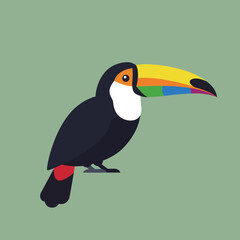 Naklejka premium Toucan bird with colorful beak vector illustration on green background in flat design style 