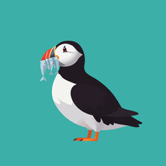 Naklejka premium Puffin bird holding multiple fish in beak on turquoise background detailed vector illustration 