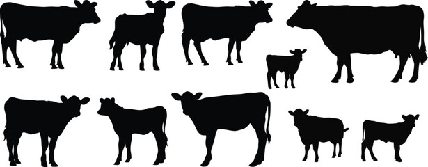 Silhouette of several cows and calves on white background
