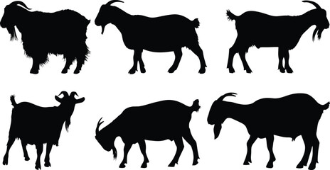 Silhouettes of goats in various poses on white background
