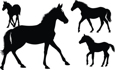 Silhouette depiction of several horses in motion
