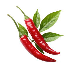 Two vibrant red chili peppers glistening with freshness, nestled amongst lush green leaves, a fiery symbol of spice and zest.