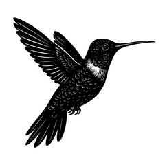 Hummingbird Silhouette Vector Illustration