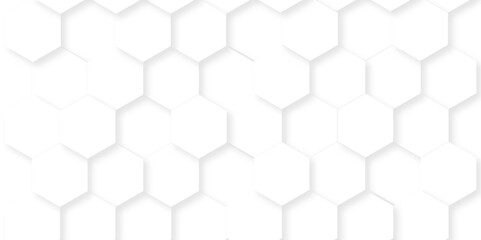 Fototapeta premium Minimal white hexagonal hexagon modern technology creative emboss light honeycomb polygonal web. abstract geometric science and mosaic tile with template texture background. 
