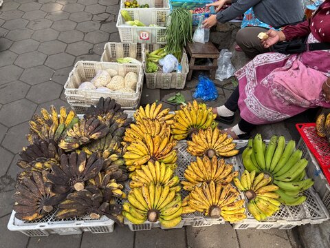 Bunches of Fresh and Ripe Bananas at Traditional Market &ndash; Tropical Fruits Displayed on Street for Sale, Perfect for Food, Agriculture, and Local Market-Themed Projects. Kota Gede Yogyakarta Indonesia
