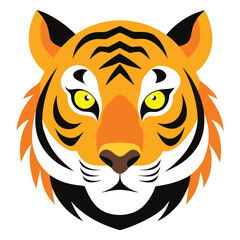 Wild Bengal Tiger Face with Open Mouth and Sharp Fangs