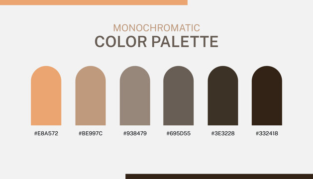 A monochromatic color palette uses different shades, tints, and tones of one color, creating a clean, cohesive, and elegant design