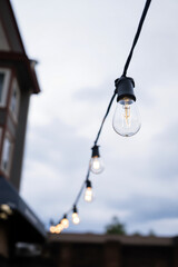 string of warm-toned light bulbs illuminates the scene