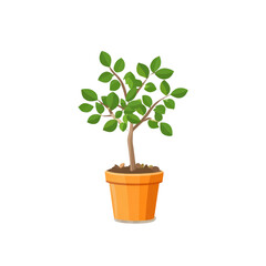 Vibrant Green Plant in Orange Pot - Indoor Plant Illustration