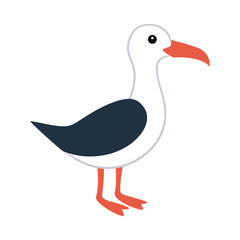 Albatross Vector Illustration on White Background