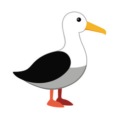 Albatross Vector Illustration on White Background