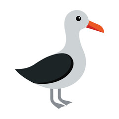 Albatross Vector Illustration on White Background