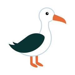 Albatross Vector Illustration on White Background