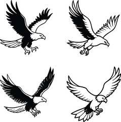 Obraz premium Bald eagle flying draw and paint on white background